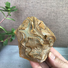 394g Bonsai Suiseki-Natural Gobi Agate Eyes Stone-Rare Stunning Viewing A1192 picture