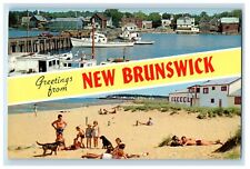 1958 Greetings From New Brunswick Canada Banner Split View Vintage Postcard picture