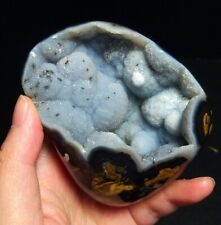 TOP 191G Natural Mongolia Gobi Agate Eye Agate Geode Stone Collection QC202 picture