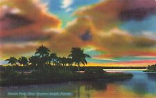 Daytona Beach Florida, Beautiful Sunset Park Palm Silhouettes, Vintage Postcard picture