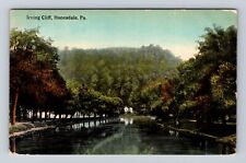 Honesdale PA-Pennsylvania, Irving Cliff, Antique Vintage Souvenir Postcard picture