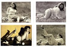 r 4 Print Vintage Photo Bikini PinUp Lady Girl on Double Weight Paper E017-E020 picture