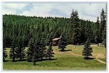 c1960's Beaubien Camp Trees Scene Cimarron New Mexico NM Unposted Cabin Postcard picture