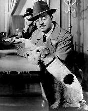 1947 WILLIAM POWELL with Terrier Dog in SONG OF THE THIN MAN Photo (189-w ) picture