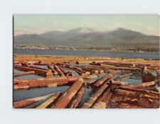 Postcard Timber Giant Logs Port Angeles Washington USA picture