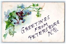 Portal North Dakota ND Postcard Greetings Embossed Flowers Leave 1911 Antique picture