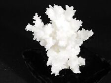 Big 100% Natural Bright White CAVE Aragonite STALACTITE Crystal Cluster 378gr picture