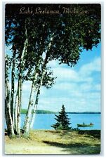 1965 Beautiful Birches Canoeing Scene Lake Leelanau Michigan MI Posted Postcard picture