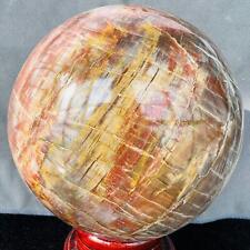 Natural Wood Fossil Decoration Polished Wood Grain Fossil Decor Crystal 4.62LB picture