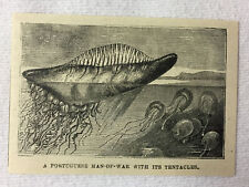 small 1880 magazine engraving~ PORTUGUESE MAN OF WAR picture