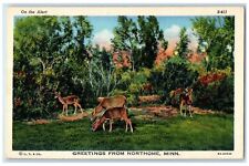 c1940's Greetings From Northome Group Of Deer Minnesota Correspondence Postcard picture