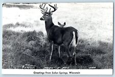 Solon Springs Wisconsin WI Postcard RPPC Photo Greetings Peek A Boo Deer c1940's picture
