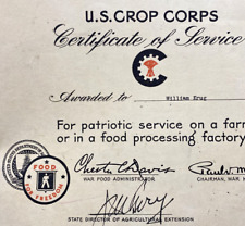 WWII Home Front US Crop Corps Patriotic Service Food For Freedom Cert 1943  picture