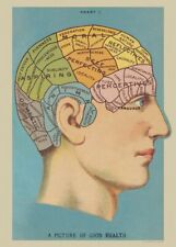 Modern Postcard: Repro, Vintage 1920 Print - The Brain - Picture of Good Health picture