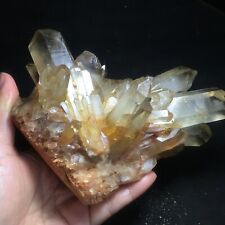 902g Citrine Quartz Cluster Yellow Crystal Gem Stone Healing 934 picture