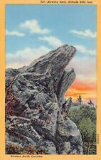 Asheville NC North Carolina Blue Ridge Mountains Blowing Rock Vtg Postcard A16 picture