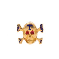Yellow Gold Pre-Dental Badge 14k Garnet Skull Bones Tau Vintage Fraternity Pin picture