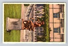 Biltmore NC-North Carolina, Biltmore House Gardens, Peter Pan, Vintage Postcard picture