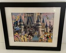 Disney Cinderella Castle Framed With 4 Character Pins NEW From My Collection picture