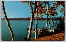 Vacation Wonderland Shore Waterfront Fall Autumn Forest Lakefront VNG Postcard picture