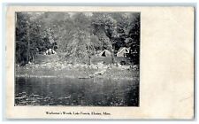 c1905 Warburton's Woods Lake Francis Elysian Minnesota Vintage Antique Postcard picture