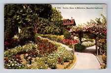 Midwinter CA-California, Garden Scene, Scenic View, Vintage Postcard picture