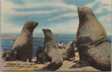c1940s DENVER MUSEUM OF NATURAL HISTORY Linen Postcard 