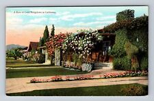CA-California, Row Of Cozy Bungalows, Antique, Vintage Postcard picture
