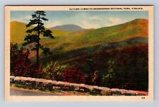 Shenandoah National Park, Autumn Comes, Antique, Vintage Souvenir Postcard picture