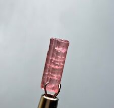 2.70 Cts Terminated Beautiful Pink Tourmaline Crystal from Afghanistan picture