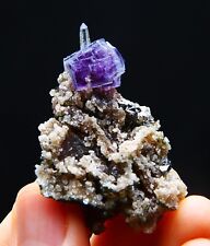 22.7g rare specimen Cubic Purple Phantom fluorite top crystal/China picture