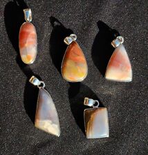 Set of 5 Authentic Arizona rainbow petrified wood pendant sterling silver  picture