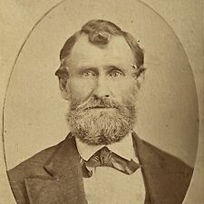Antique CDV Photograph Handsome Mature Man Great Hair Beard Parker City PA picture
