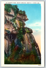 c1940s Caesar's Head South Carolina State Line Vintage Linen Postcard picture