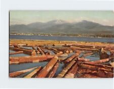 Postcard Timber Port Angeles Juan de Fucca Straits Washington picture