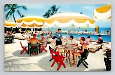 Postcard Hotel Martinique Poolside Miami Beach Florida FL, Vintage Chrome E6 picture