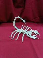 Large scorpion made of bones. Skeleton of a giant scorpion. Osteology taxidermy. picture