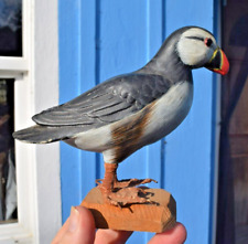 Wonderful  Atlantic Puffin Bird Shorebird Painted 6