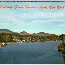 c1960s Saranac Lake, NY Greetings Birds Eye Village House Flower River PC A235 picture