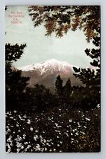 Bernardino CA-California, Mount San, Antique, Vintage Souvenir Postcard picture