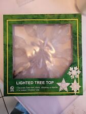Lighted Tree Top Star picture