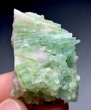 142  Carat Bunch of  Tourmaline crystal Specimen from Afghanistan picture