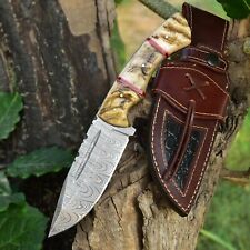 Handmade Damascus Steel Hunting Fixed Blade Knife With Ram Horn Handle picture