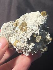Vesuvianite on Calcite, Sierra De Las Cruces, Coahuila, Mexico picture