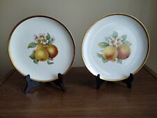  2 Fruit Dessert Plates with Gold Rims-Selb Bavaria Germany VNT Hutschenreuther  picture
