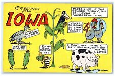1958 Greetings From Iowa Puns Jokes Burlington Iowa IA Correspondence Postcard picture