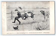 1906 A Rural Scene Getting Ahead In The World Slaterville Springs NY Postcard picture