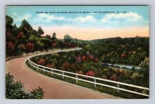 Shakertown KY-Kentucky, Scenic View on Road, Antique Vintage Souvenir Postcard picture