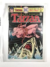 DC Comics Tarzan Nov. #243 - 004 picture