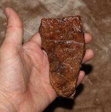 Triceratops Frill - Amazing Patina Dino Fossil Hell Creek Formation CRETACEOUS picture
